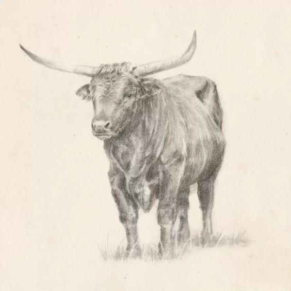 American Décor: Longhorn Steer Sketch I by Ethan Harper