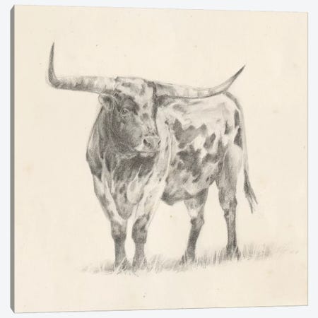 Longhorn Steer Sketch II Canvas Print #EHA495} by Ethan Harper Canvas Wall Art