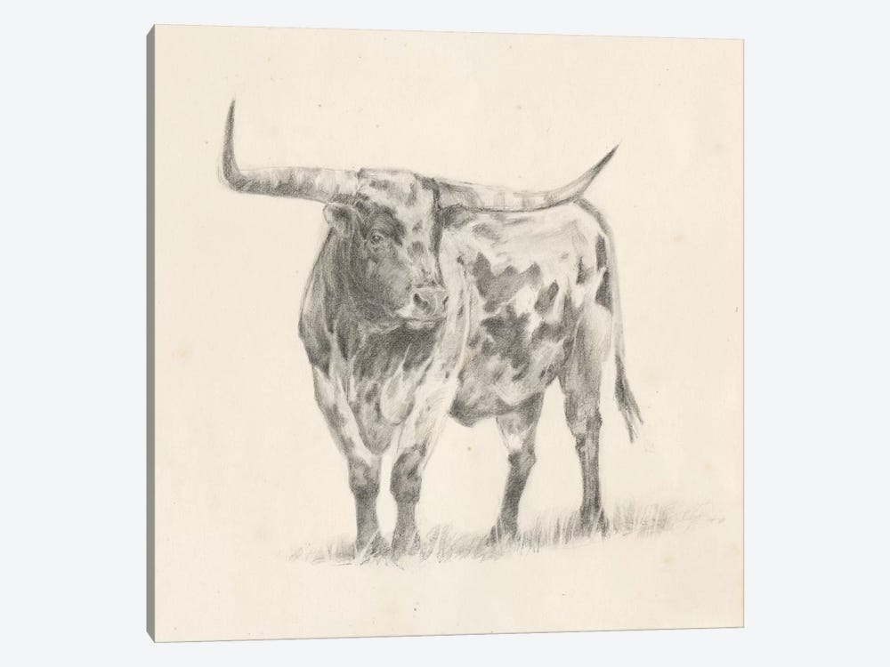 Longhorn Steer Sketch II by Ethan Harper 1-piece Canvas Wall Art