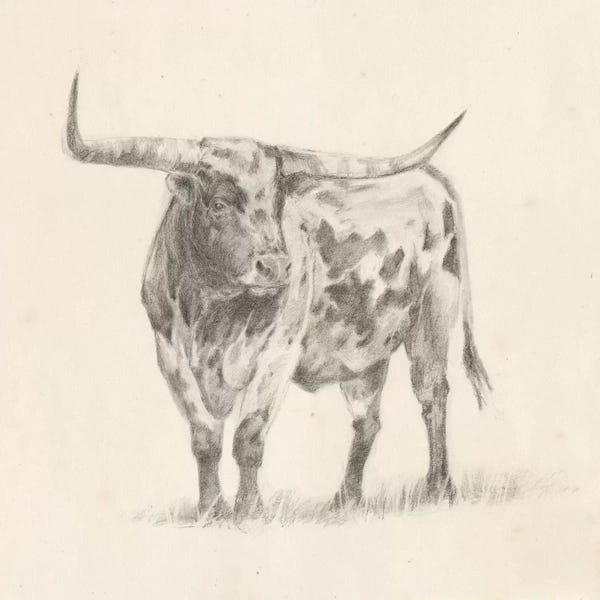 American Décor: Longhorn Steer Sketch II by Ethan Harper