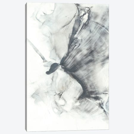 Marbled Grey III Canvas Print #EHA498} by Ethan Harper Canvas Print