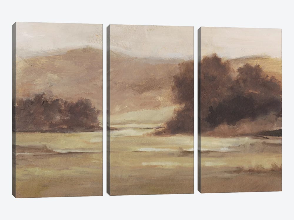 Muted Landscape I by Ethan Harper 3-piece Canvas Art
