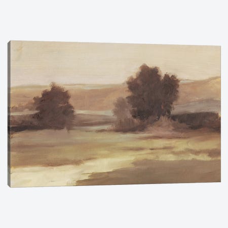 Muted Landscape II Canvas Print #EHA504} by Ethan Harper Canvas Wall Art