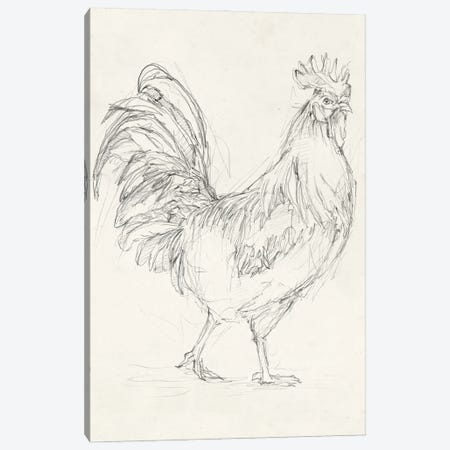 Rooster Sketch I Canvas Print #EHA509} by Ethan Harper Canvas Art Print