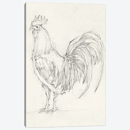 Rooster Sketch II Canvas Print #EHA510} by Ethan Harper Canvas Art