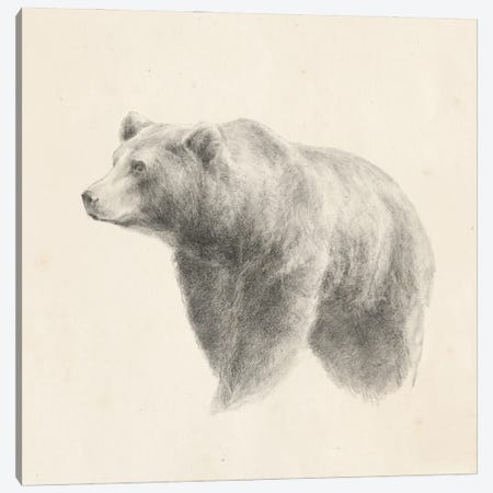 Western Bear Study Canvas Print #EHA519} by Ethan Harper Canvas Art