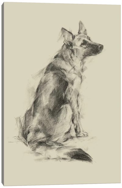 Puppy Dog Eyes V Canvas Art Print - German Shepherd Art