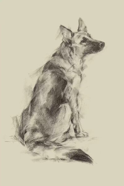 German Shepherds: Puppy Dog Eyes V by Ethan Harper