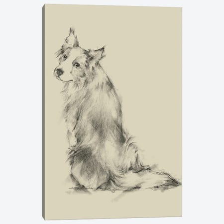 Puppy Dog Eyes VI Canvas Print #EHA553} by Ethan Harper Canvas Wall Art