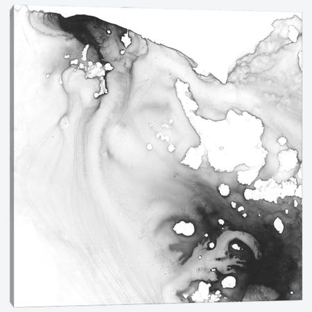 Smoke & Water III Canvas Print #EHA564} by Ethan Harper Canvas Wall Art