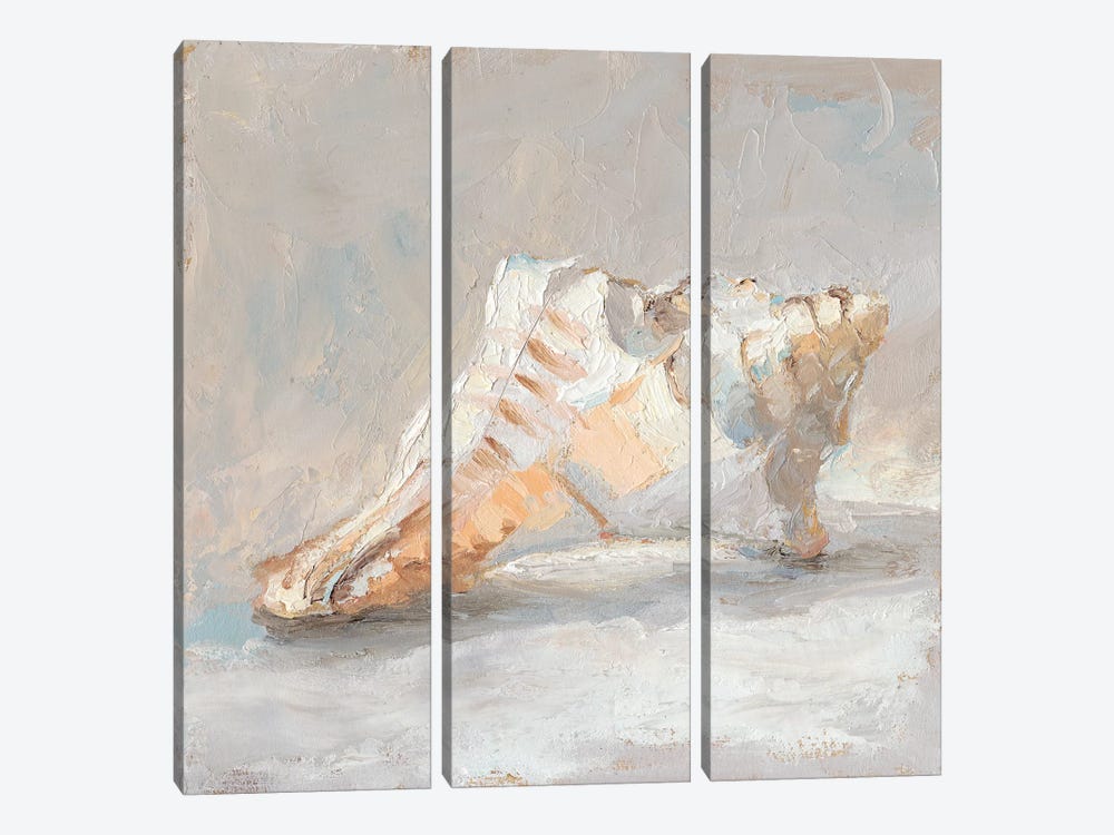 Impressionist Shell Study I by Ethan Harper 3-piece Canvas Artwork