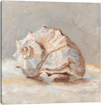 Impressionist Shell Study II Canvas Art Print - Ethan Harper