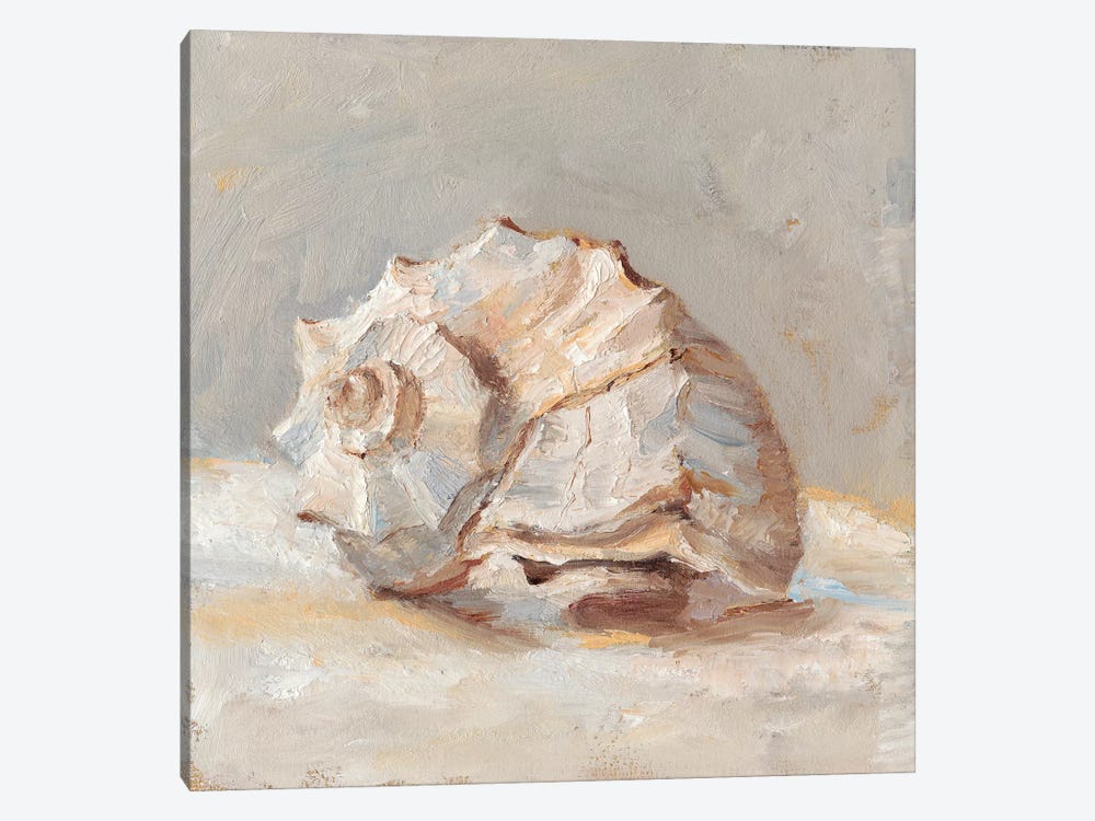Impressionist Shell Study II by Ethan Harper 1-piece Art Print