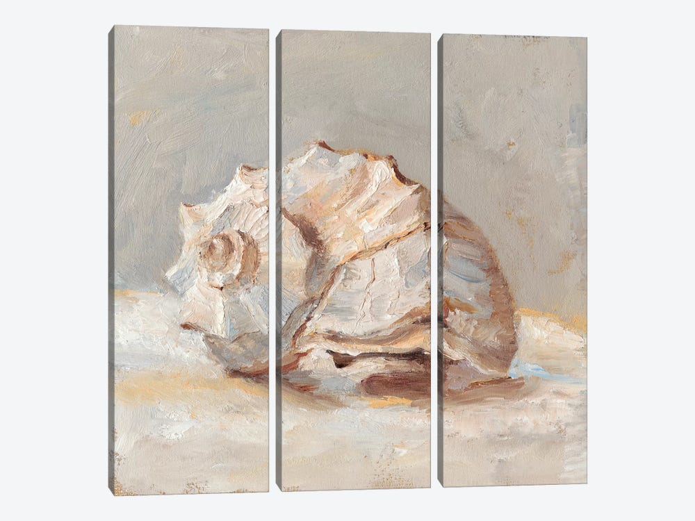 Impressionist Shell Study II by Ethan Harper 3-piece Art Print