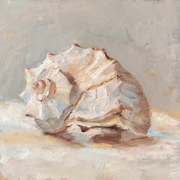 Sea Shells: Impressionist Shell Study II by Ethan Harper