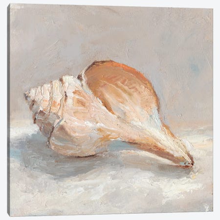 Impressionist Shell Study III Canvas Print #EHA576} by Ethan Harper Art Print