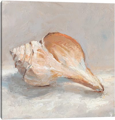 Impressionist Shell Study III Canvas Art Print - Sea Shell Art