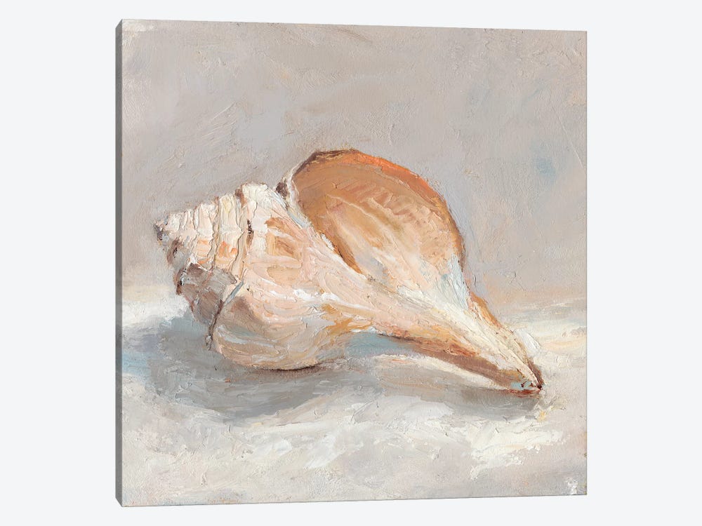Impressionist Shell Study III by Ethan Harper 1-piece Canvas Artwork