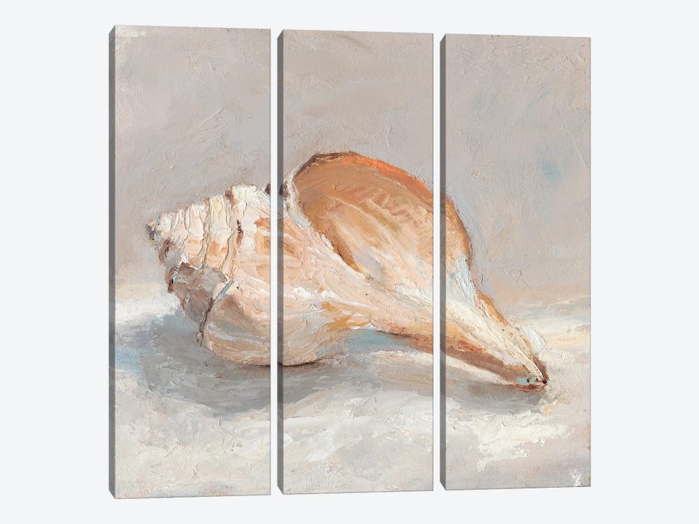 Impressionist Shell Study III by Ethan Harper 3-piece Canvas Wall Art