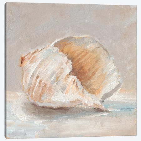 Impressionist Shell Study IV Canvas Print #EHA577} by Ethan Harper Art Print