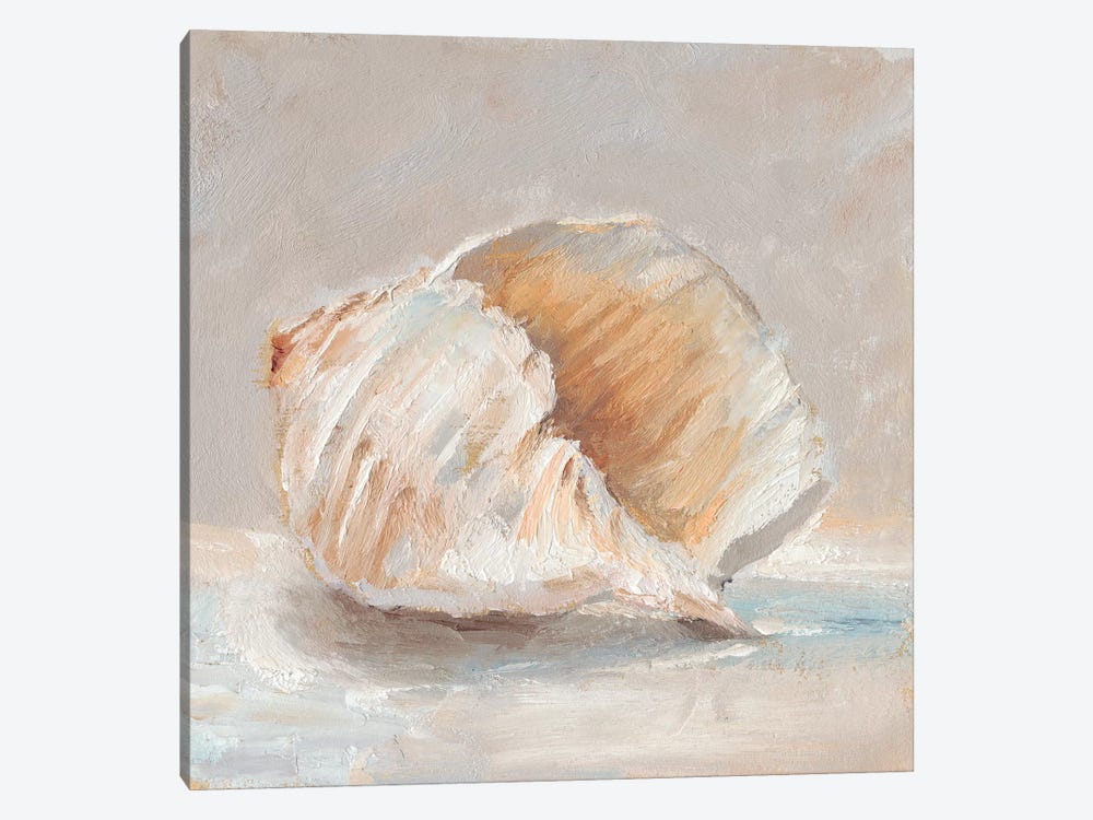 Impressionist Shell Study IV by Ethan Harper 1-piece Art Print