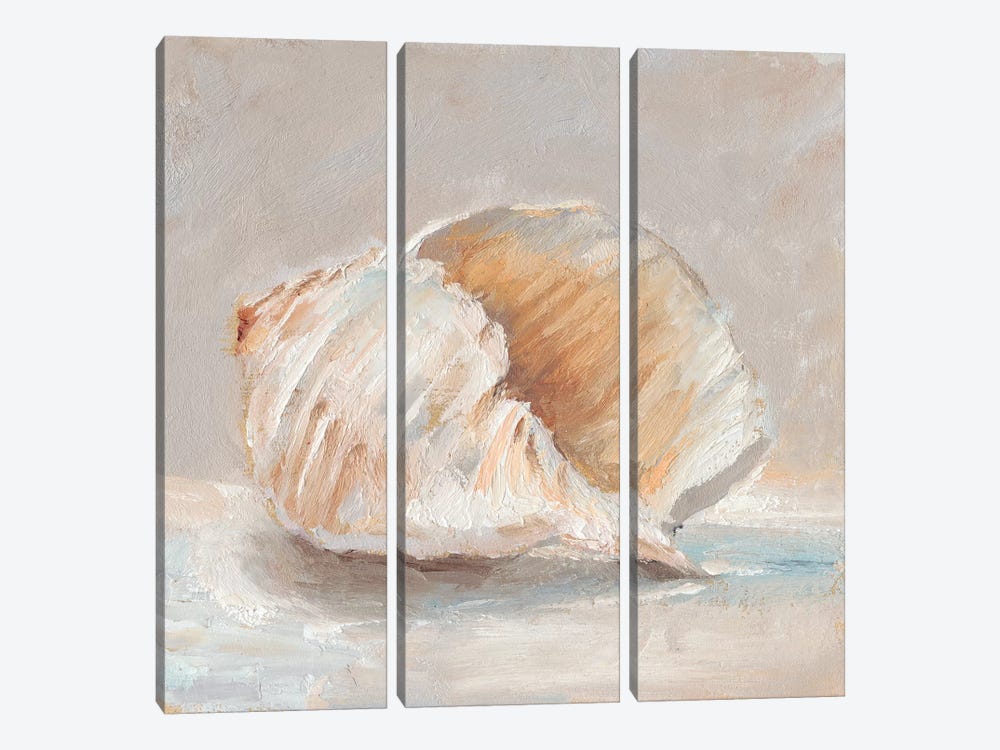 Impressionist Shell Study IV by Ethan Harper 3-piece Canvas Print