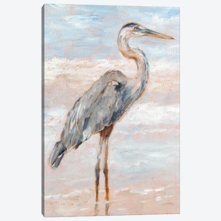 Beach Heron I Canvas Print #EHA584} by Ethan Harper Canvas Art