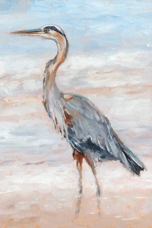 Beach Heron II