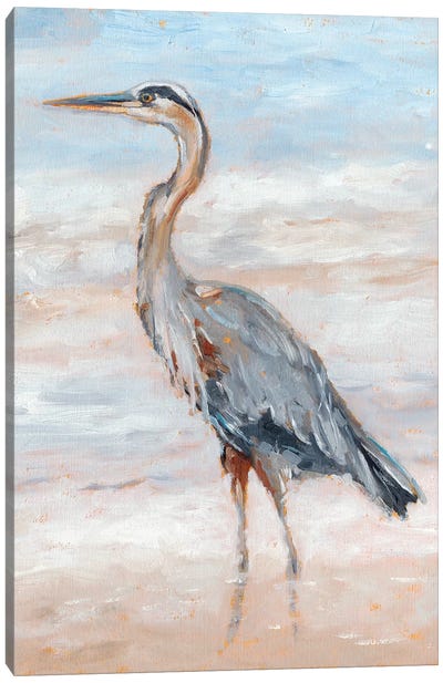 Beach Heron II Canvas Art Print - Great Blue Heron Art