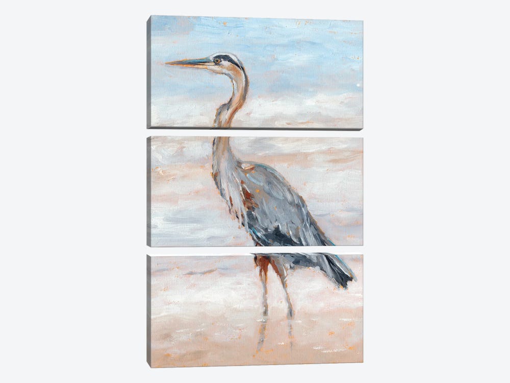 Beach Heron II by Ethan Harper 3-piece Canvas Art