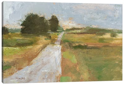 Back Country Road I Canvas Art Print - Countryside Art