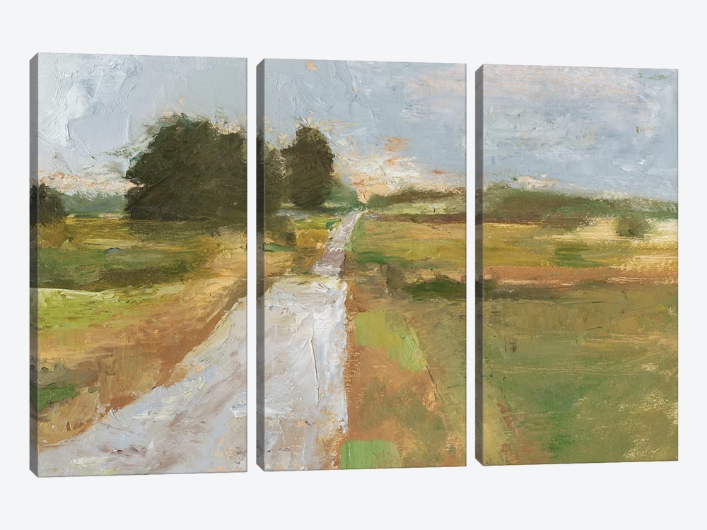 Back Country Road I by Ethan Harper 3-piece Canvas Print