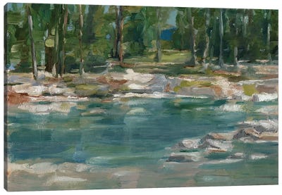 Northwestern Lake I Canvas Art Print - Lake Art