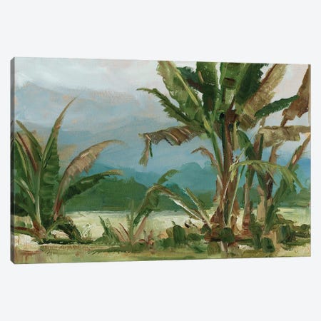 Southern Palms II Canvas Print #EHA647} by Ethan Harper Canvas Art Print