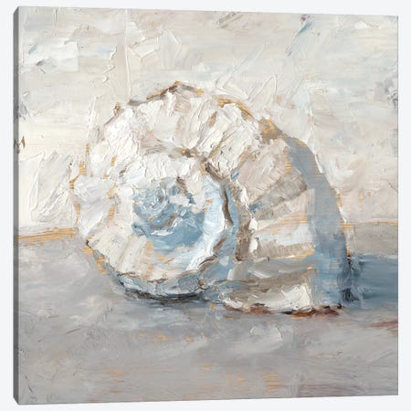 Blue Shell Study III Canvas Print #EHA678} by Ethan Harper Canvas Art Print