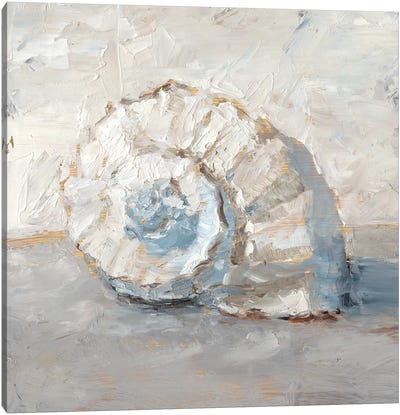 Blue Shell Study III Canvas Art Print - Sea Shell Art