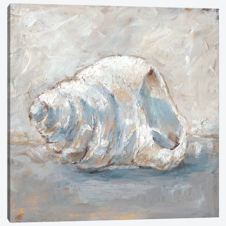Blue Shell Study IV Canvas Print #EHA679} by Ethan Harper Art Print