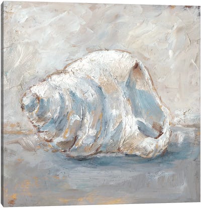 Blue Shell Study IV Canvas Art Print - Sea Shell Art