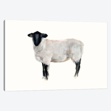 Farm Animal Study I Canvas Print #EHA688} by Ethan Harper Canvas Wall Art