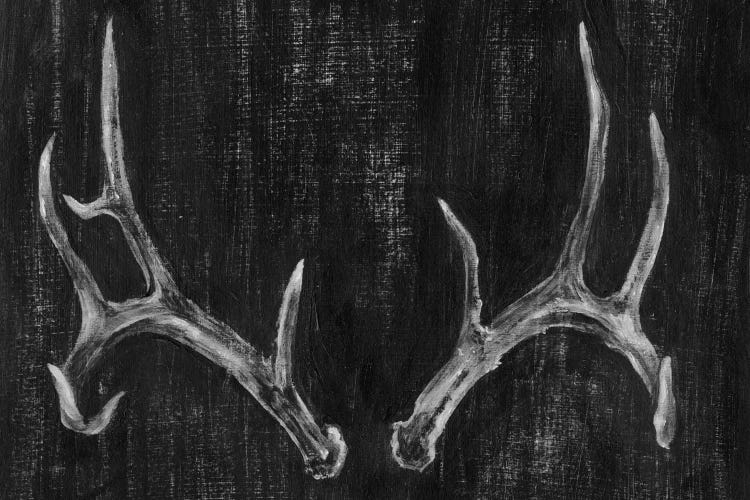 Rustic Antlers II