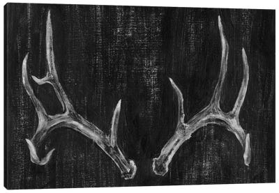 Rustic Antlers II Canvas Art Print - Alternative Décor