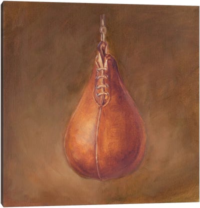 Rustic Sports II Canvas Art Print - Boxing Art