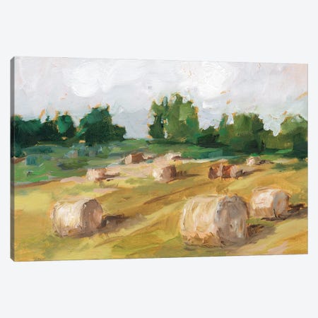 Hay Field I Canvas Print #EHA717} by Ethan Harper Canvas Art Print