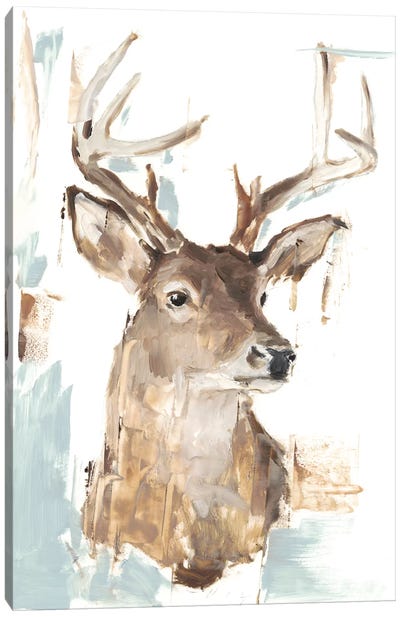 Modern Deer Mount I Canvas Art Print - Cabin & Lodge Décor