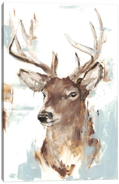 Modern Deer Mount II Canvas Art Print - Cabin & Lodge Décor