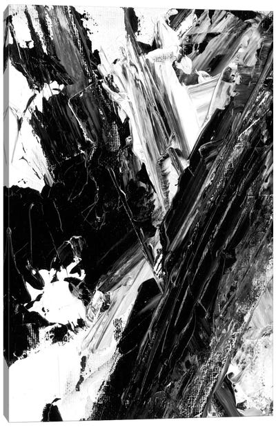 Sporadic II Canvas Art Print - Black & White Decorative Art
