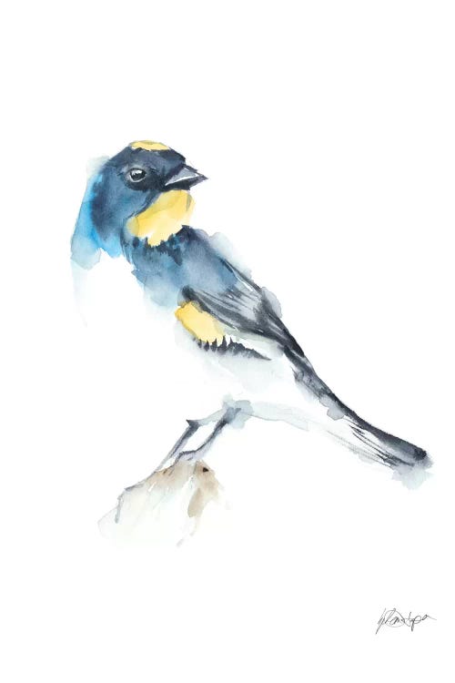 Watercolor Songbirds III