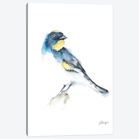 Watercolor Songbirds III Canvas Print #EHA755} by Ethan Harper Art Print