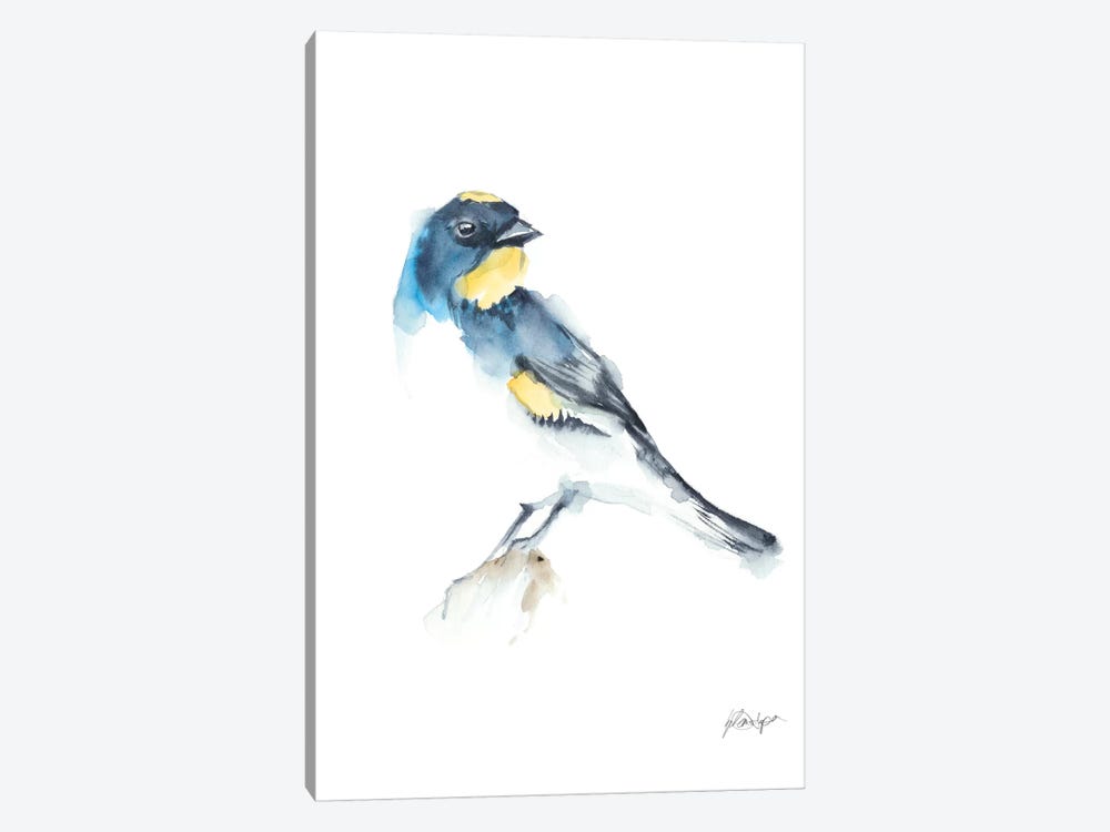 Watercolor Songbirds III by Ethan Harper 1-piece Canvas Artwork