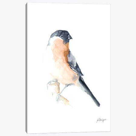 Watercolor Songbirds V Canvas Print #EHA757} by Ethan Harper Canvas Art Print